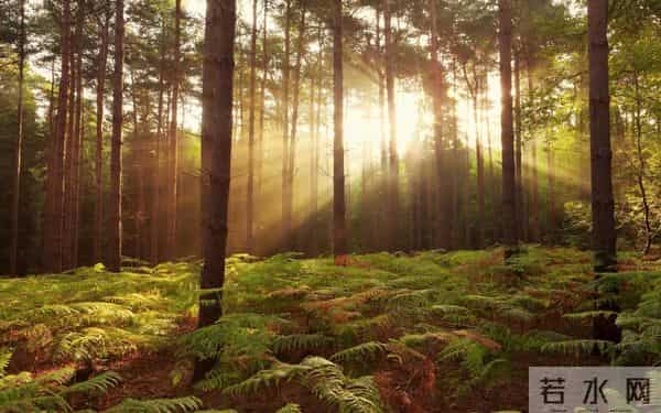 夜读丨余秋雨:暖暖的记忆