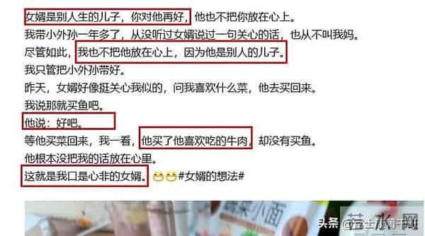 “不能对女婿好”骂上热搜:撕开多少父母悲哀真相