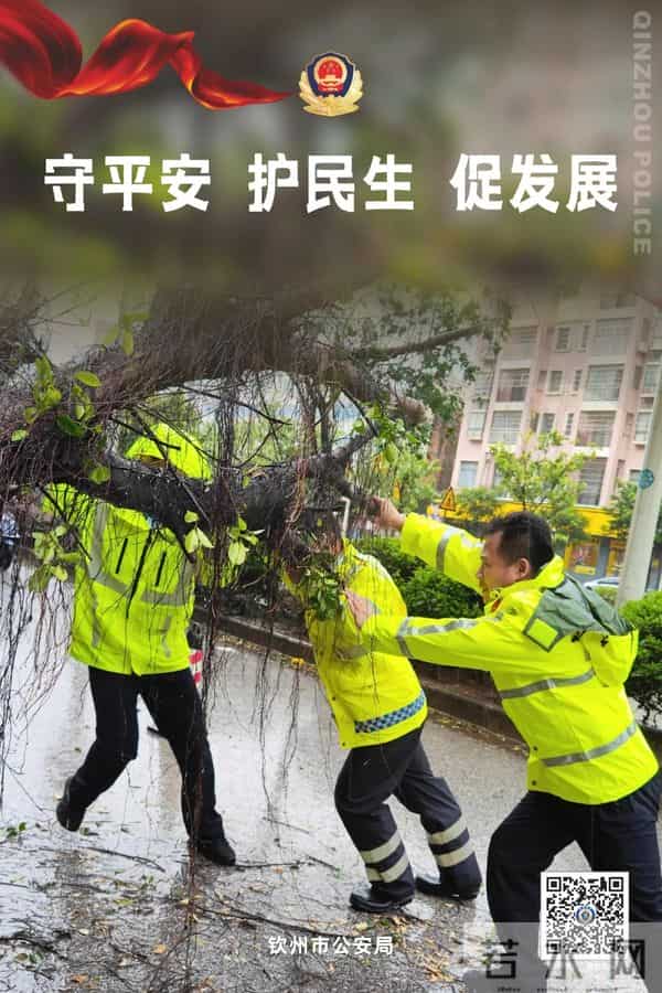 交通安全伴成长 警校共建护平安