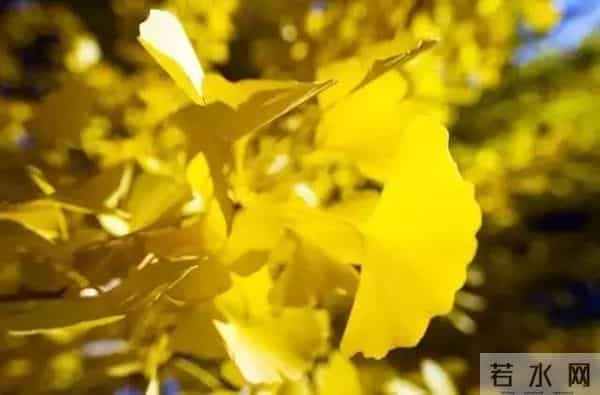 教师节｜正是这些老师教的歌撑起了我们的童年