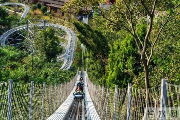 情人节来袭！这些别出心裁的约会攻略，没人能拒绝