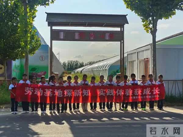 阳信县洋湖乡多措并举推进新时代农村学校少先队劳动实践教育