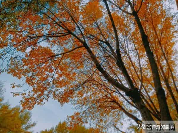 随笔：好吧，不管你经历了什么，一觉醒来，这个城市依旧车水马龙