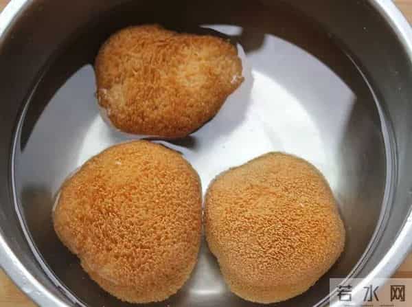 猴头菇是个养胃的好东西,可惜你不会吃!