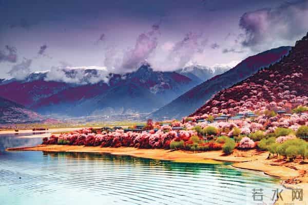 张小磊情感爆款文章：《不属于自己的，又何必拼了命去在乎》