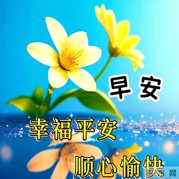 最新高情商早上好祝福语，阳光微笑早安图片，愿你平安幸福每一天