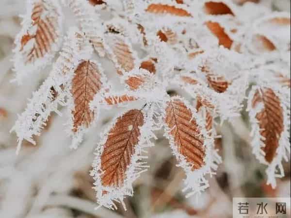 冬至到来,除了吃饺子,还有这些习俗和知识你了解吗?