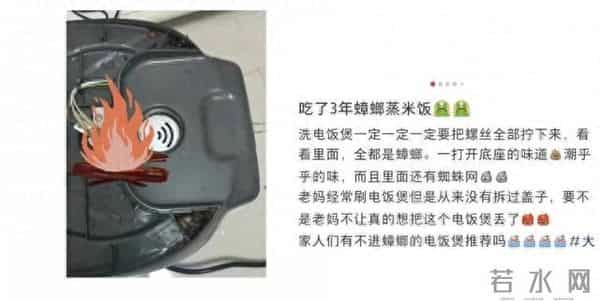 电饭煲这 4 个地方不洗,当心吃“蟑螂蒸饭”!