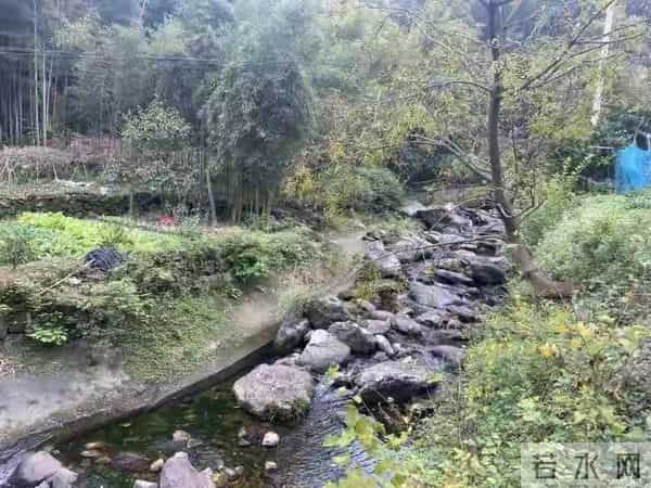 谁能想到，家门口的石头，竟是地球写给时间的情书。