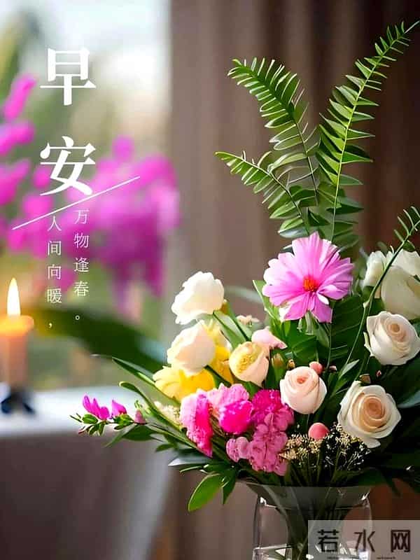 15句暖心早安祝福，愿你朝有晨光暖，暮有晚风柔，平安顺遂伴安康