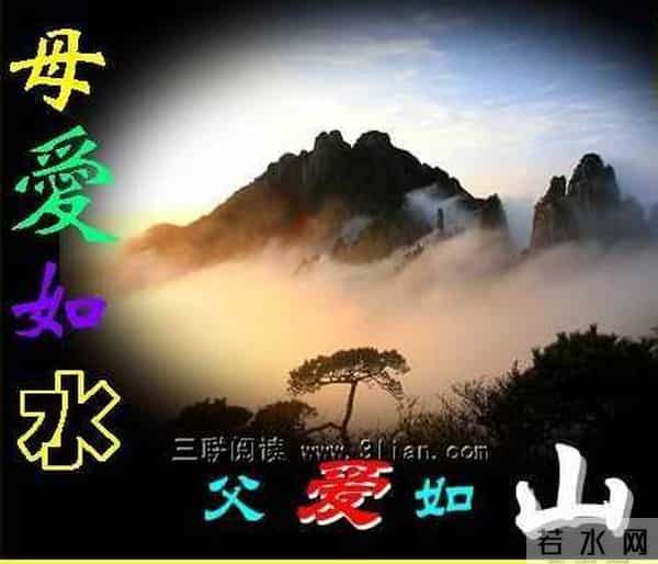 「青未了」文｜枫叶常怀感恩心，四时皆如春