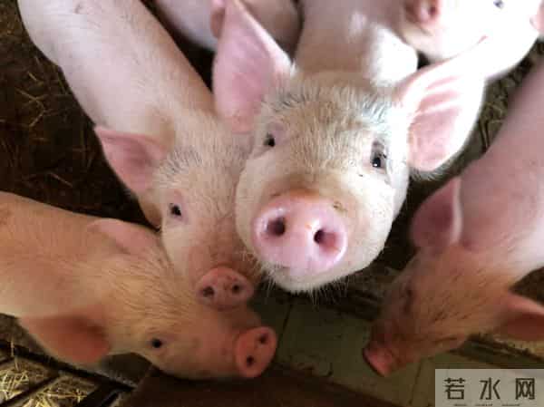 各级财政疫情防控投入达1169亿元;滞留武汉人员可领临时补助金丨财经早餐