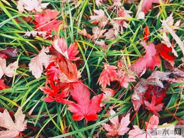 随笔：好吧，不管你经历了什么，一觉醒来，这个城市依旧车水马龙