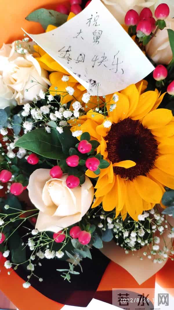 我的六十六岁生日感怀