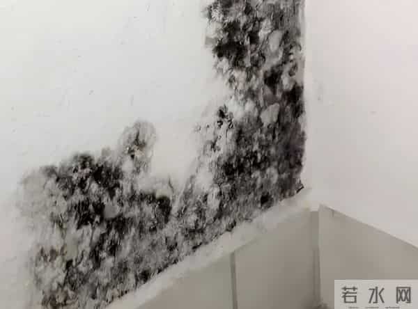 终于有专家说实话了!买了一楼带院的房子,为什么都开始后悔?