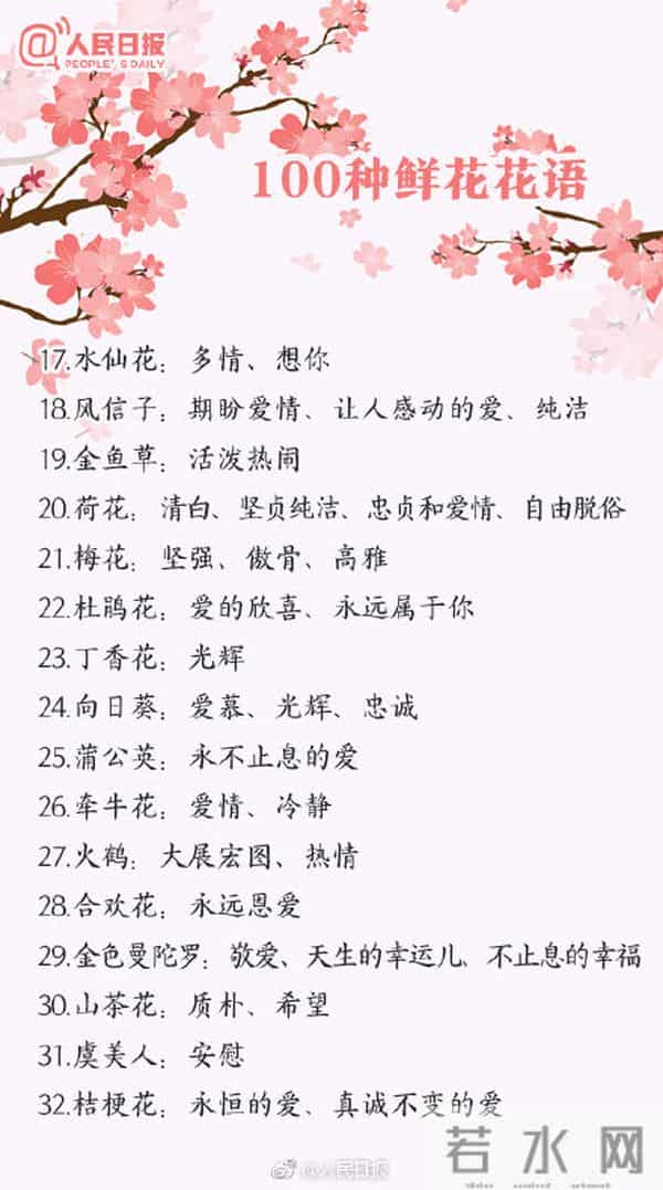 100种花的花语,收藏吧