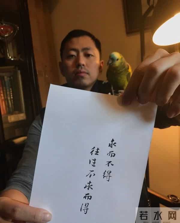 《最强大脑》7位选手现状：有人离异，有人卖课，有人洒脱