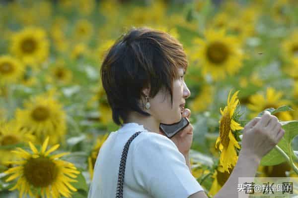 花千姿——花海国庆见闻（原创摄影+随笔300字）