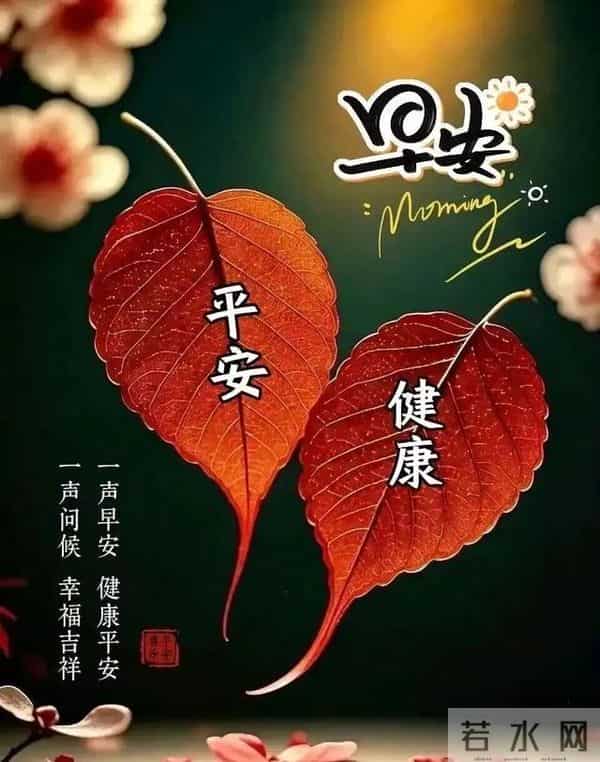 “偷偷收藏的最美祝福图片，发完100%秒赞”