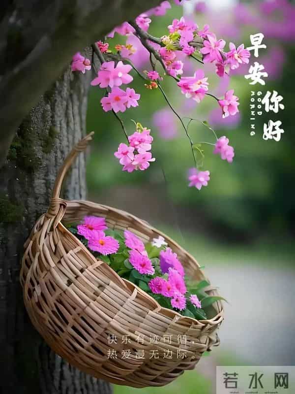 每日100句吉祥祝福语,最美的问候语大全,祝福朋友们快乐吉祥