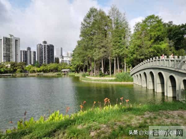 三年级满分作文《我的梦想》3篇作文300字400字