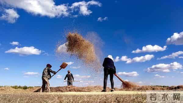 公司新来的00后秘书，第一天上班，就穿了黑丝和包臀裙