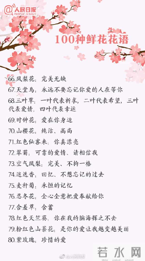 100种花的花语,收藏吧