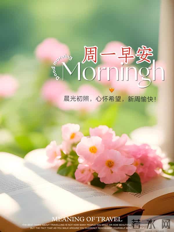 19句周一早安祝福,晨光送暖,新周启航,愿你事事顺遂,早安愉快