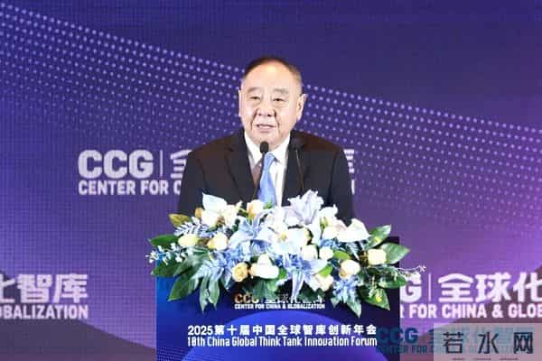 陈健在第十届中国全球智库创新年会的发言