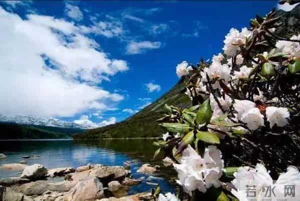 70年来,有没有一首歌,让中国人听了就热泪盈眶?