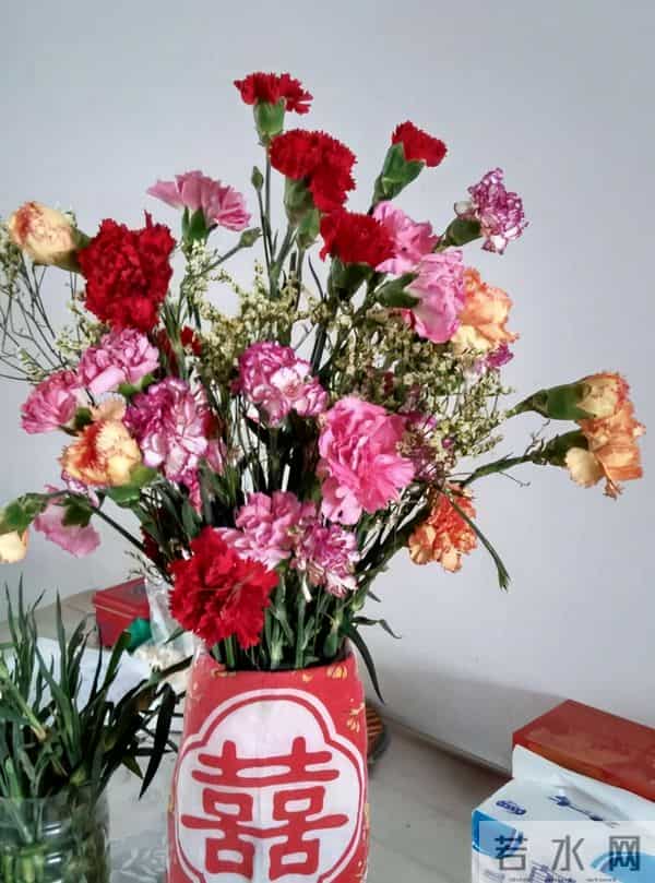 康乃馨寓意好,养在家里装饰性强,这样做还能有效延长花期