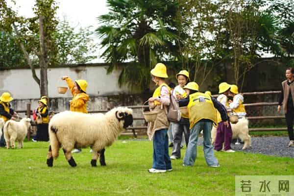 秋假“上线”,收获几何?——多地中小学春秋假一线见闻