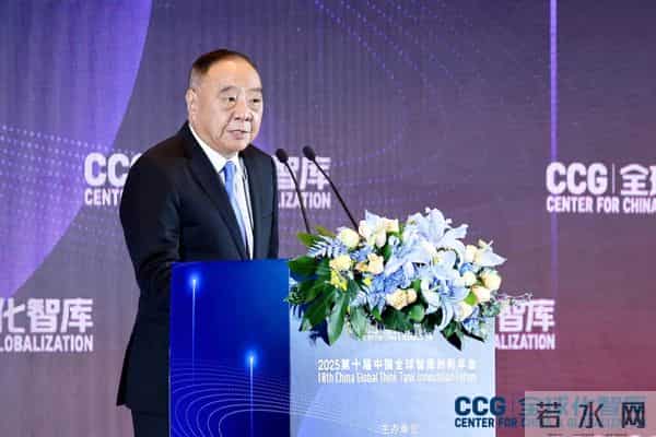 陈健在第十届中国全球智库创新年会的发言