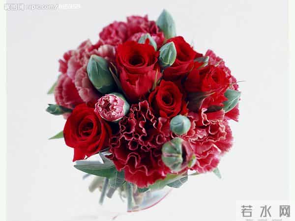 烂漫花语，你除了知道玫瑰代表爱情，你还知道其他的吗？