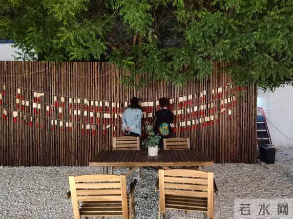 新奇职业｜一名宠物殡葬师的自述：宠物的离开，教会我们什么