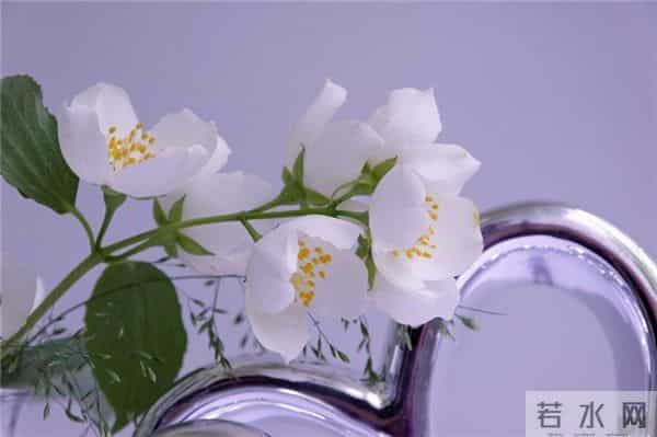 2020最火的早安问候语，温暖阳光，一秒倾心