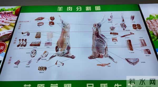 玉湖访谈录 - 庖丁佳食品:从草原而来的现代“庖丁”