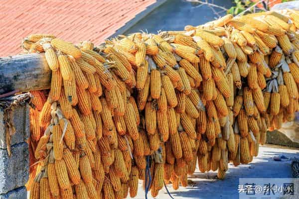 明日中秋节，老人说最怕“中秋节一日雨”，中秋节下雨有啥预兆？