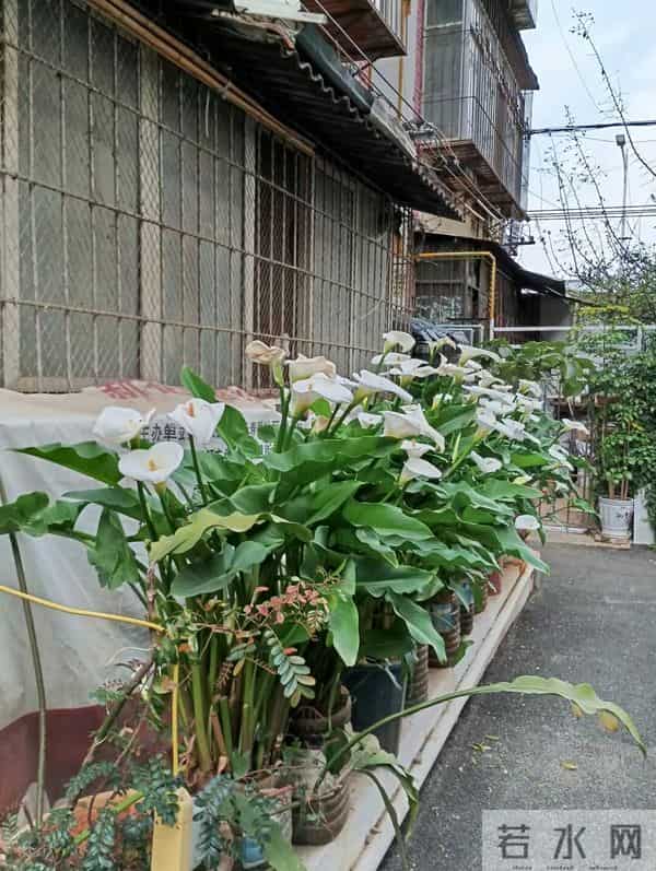 一个现代人的隐士修炼指南