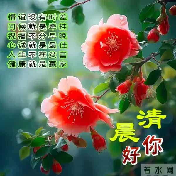 每日100句吉祥祝福语,最美的问候语大全,祝福朋友们快乐吉祥