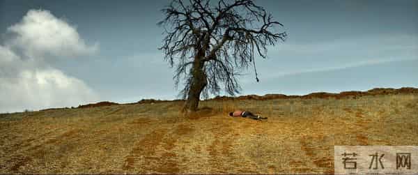 阅读一棵树,从树枝和风开始|植树节