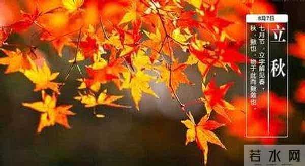 散文-二十四节气之立秋