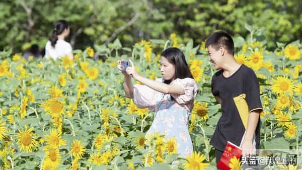 花千姿——花海国庆见闻（原创摄影+随笔300字）