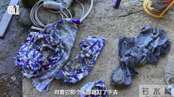 老虎出没?湖北鹤峰村民山上干农活被野兽袭击,用锄头反击后脱险,当地:暂无老虎证据