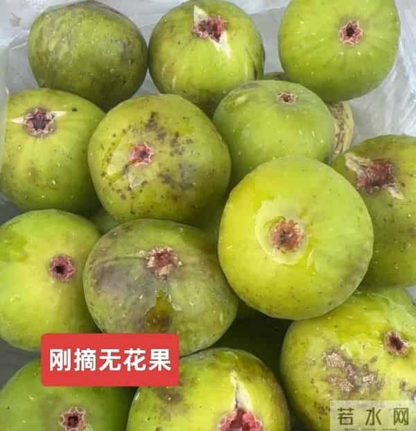 你绝对想不到，开学第一天，一名临近退休女教师会是什么感受