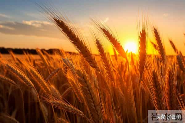 100条高考祝福语,祝莘莘学子金榜题名,马到成功