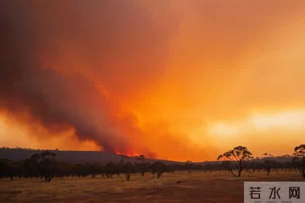 六年级上册道德与法治教学总结