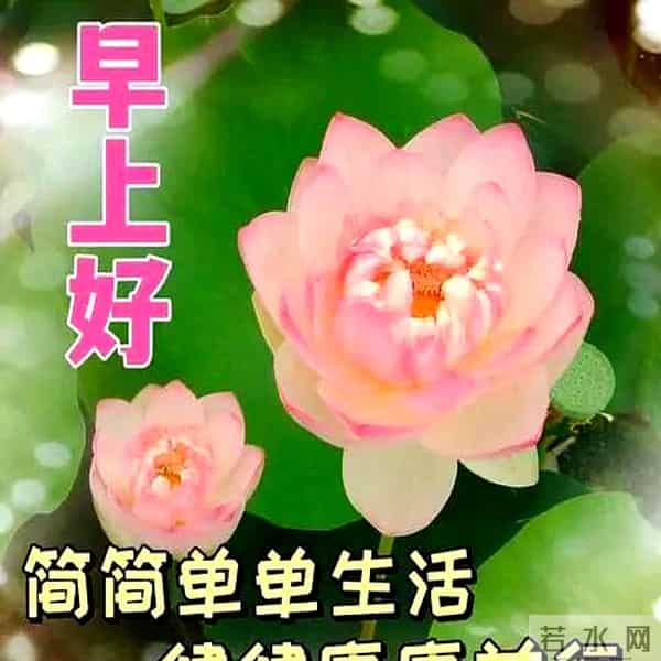 最新高情商早上好祝福语，阳光微笑早安图片，愿你平安幸福每一天