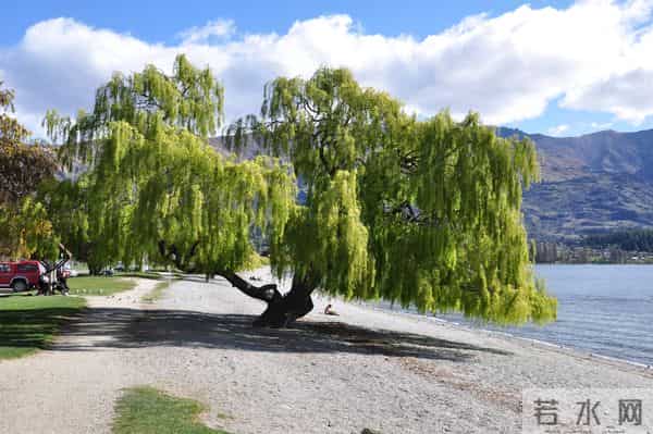 四月运势早知道