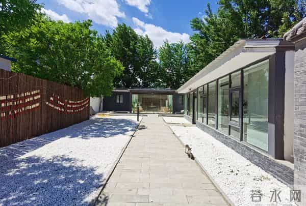 新奇职业｜一名宠物殡葬师的自述：宠物的离开，教会我们什么